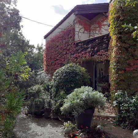 La Bergerie Hotel Lagarrigue  Exterior foto